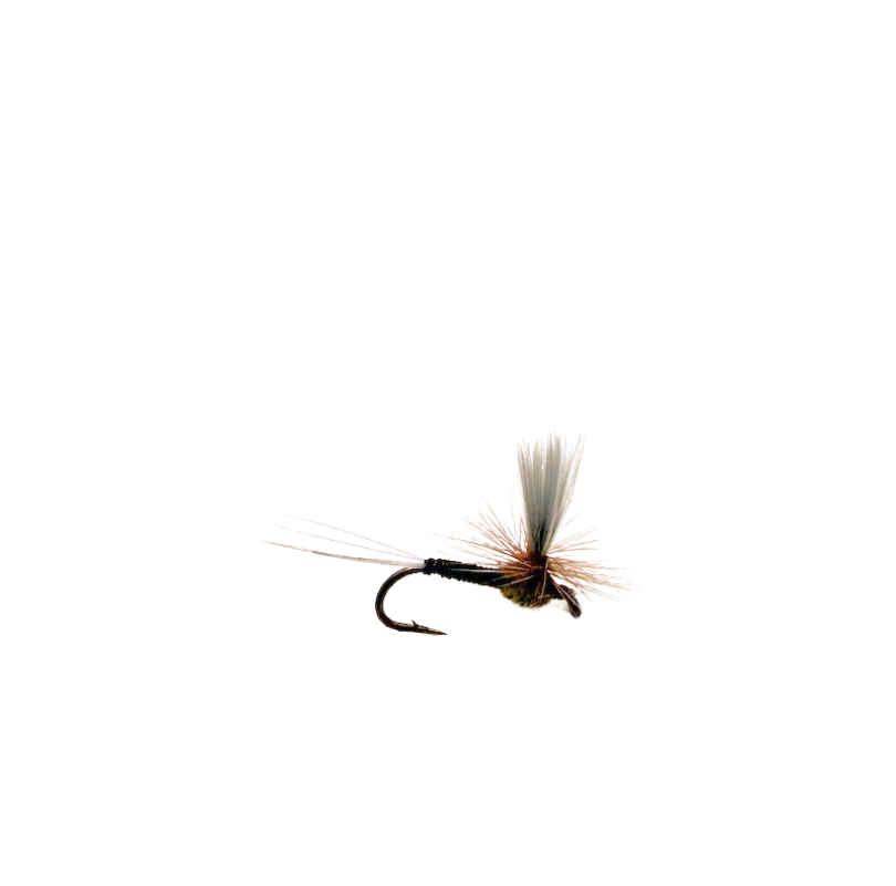 Burk's Silhouette Dun - BWO - SALE