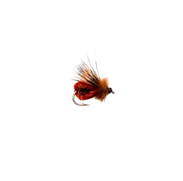 Bubble Caddis Emerger - SALE