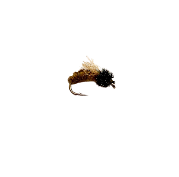 Z Wing Caddis - SALE