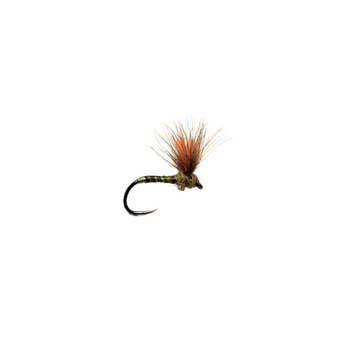 Olsen's Pliva Shuttlecock BWO - SALE