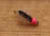 Pink Bead Carpet Bug