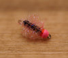 Pink Bead Carpet Bug