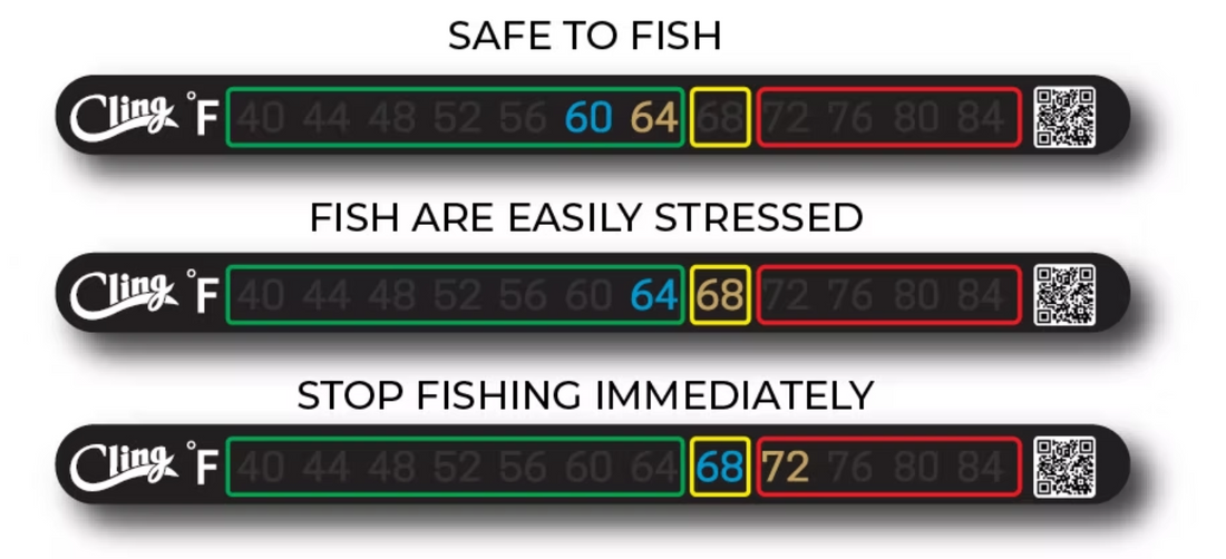 Loon Magentic Net Release
